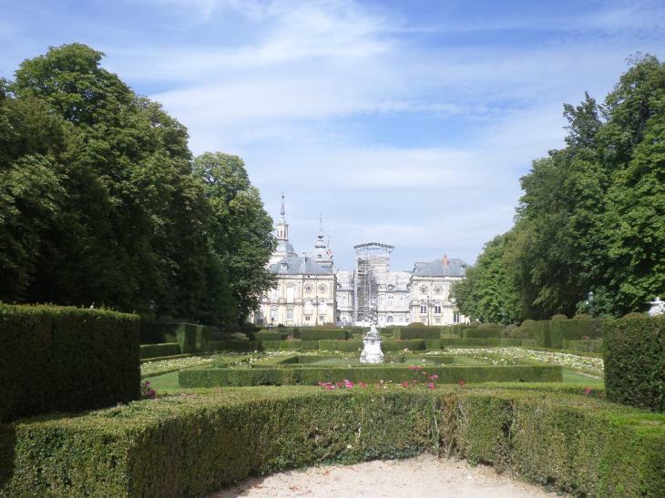 SAMSUNG CAMERA PICTURES