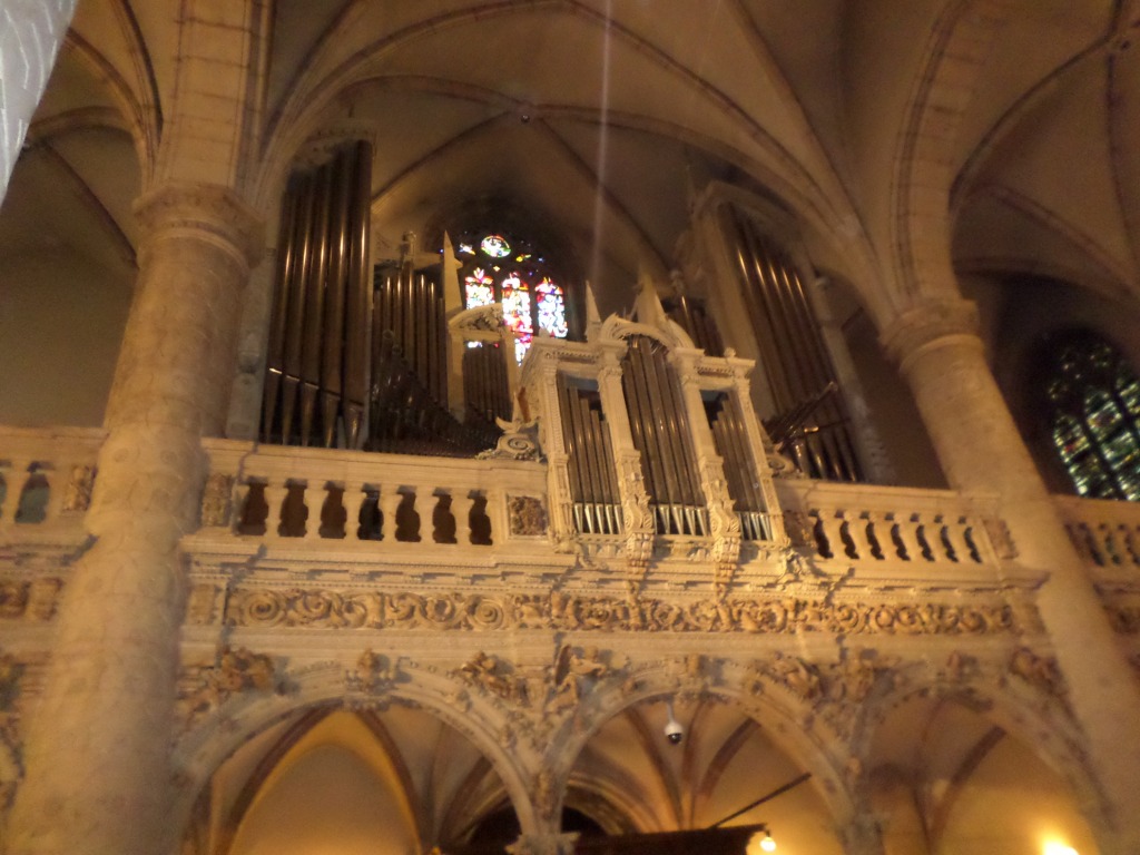 lux-cat-nd-organ-above-aug15