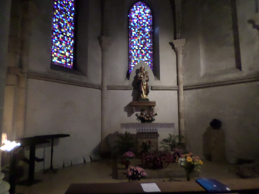 SAMSUNG CAMERA PICTURES