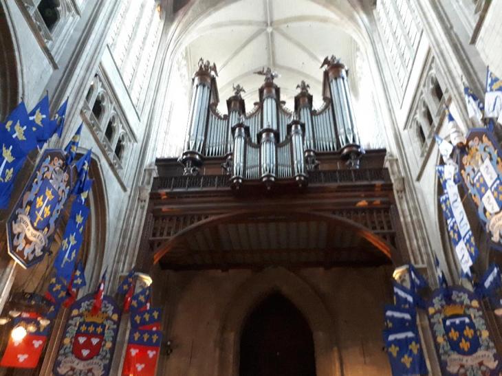 orleans cat ste croix organ back sep21