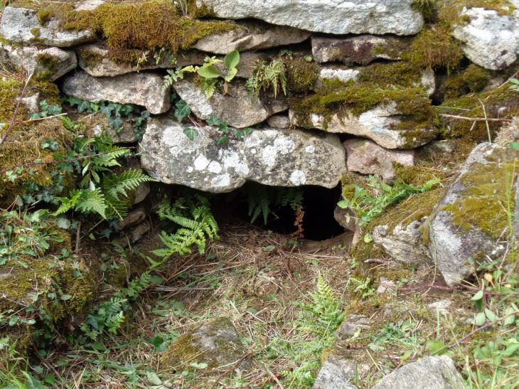 plu site galois talhouet tomb sep21