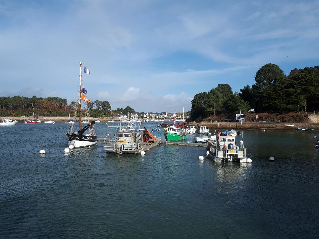 sene-port-anna-harbor-nov18