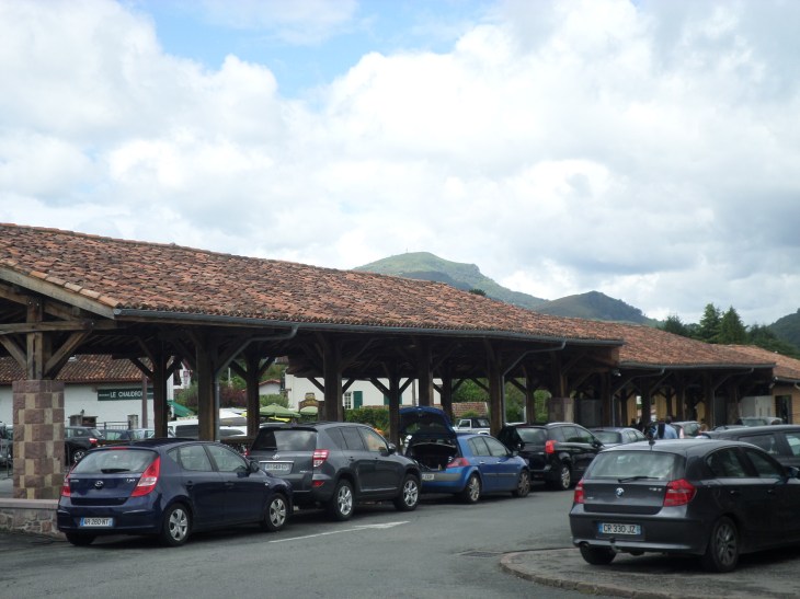 SAMSUNG CAMERA PICTURES