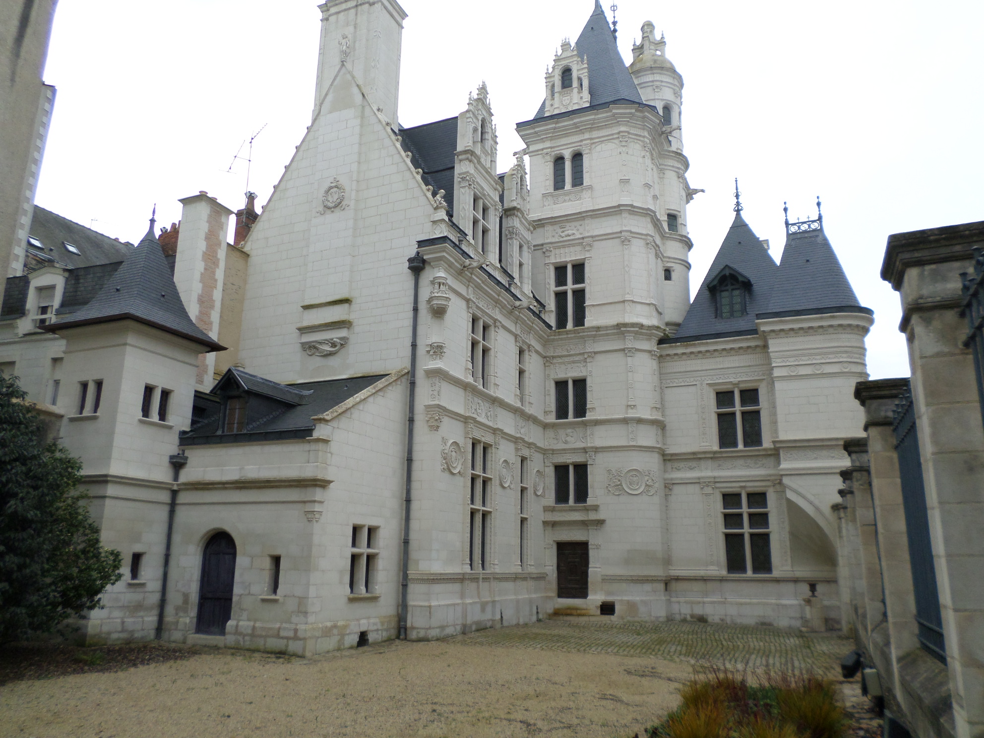 SAMSUNG CAMERA PICTURES