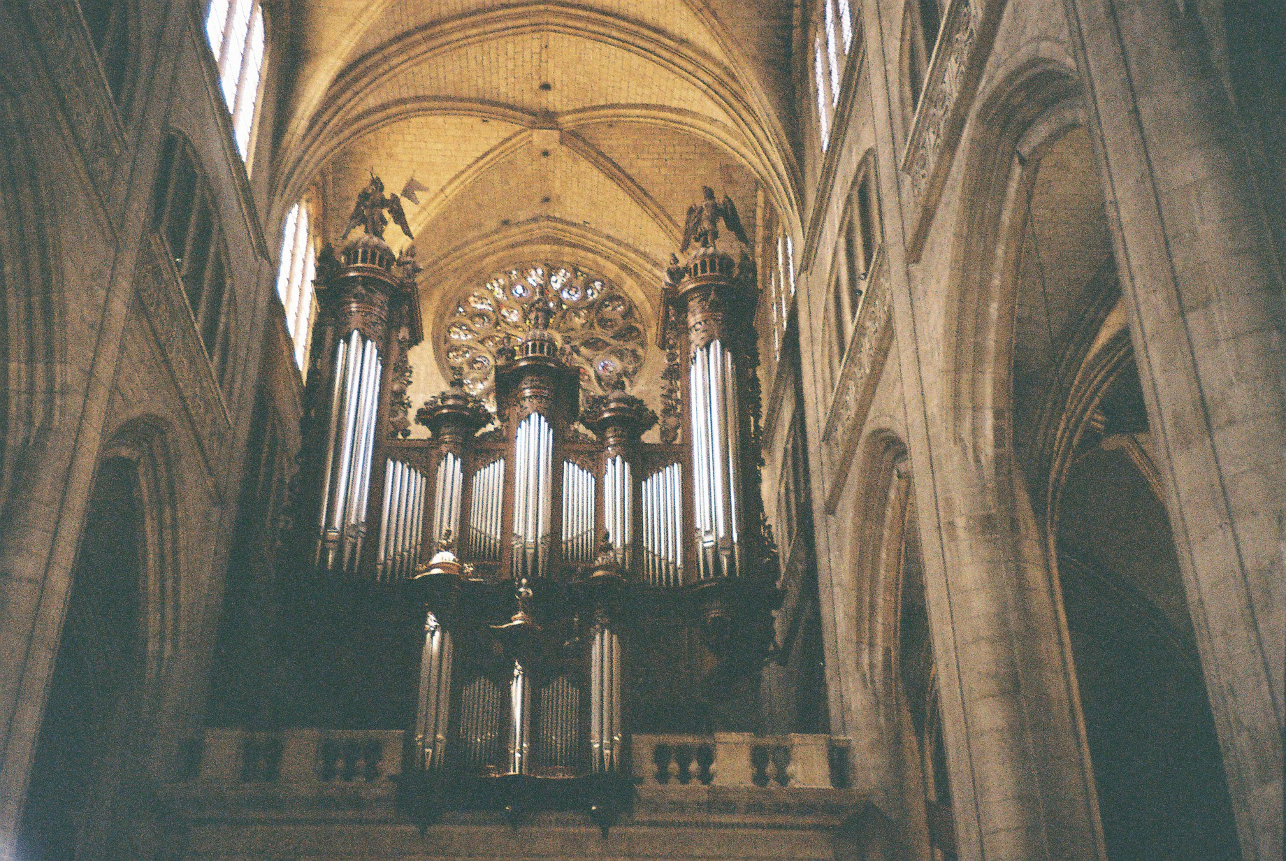Auch cat sainte marie organ jul10