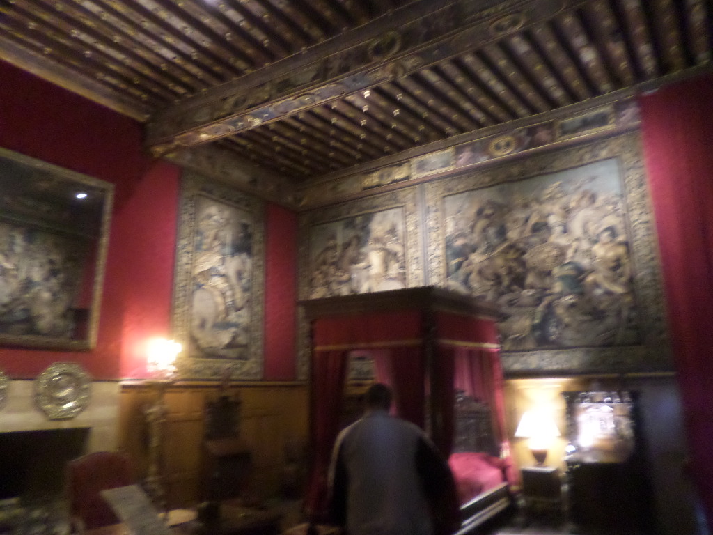 SAMSUNG CAMERA PICTURES