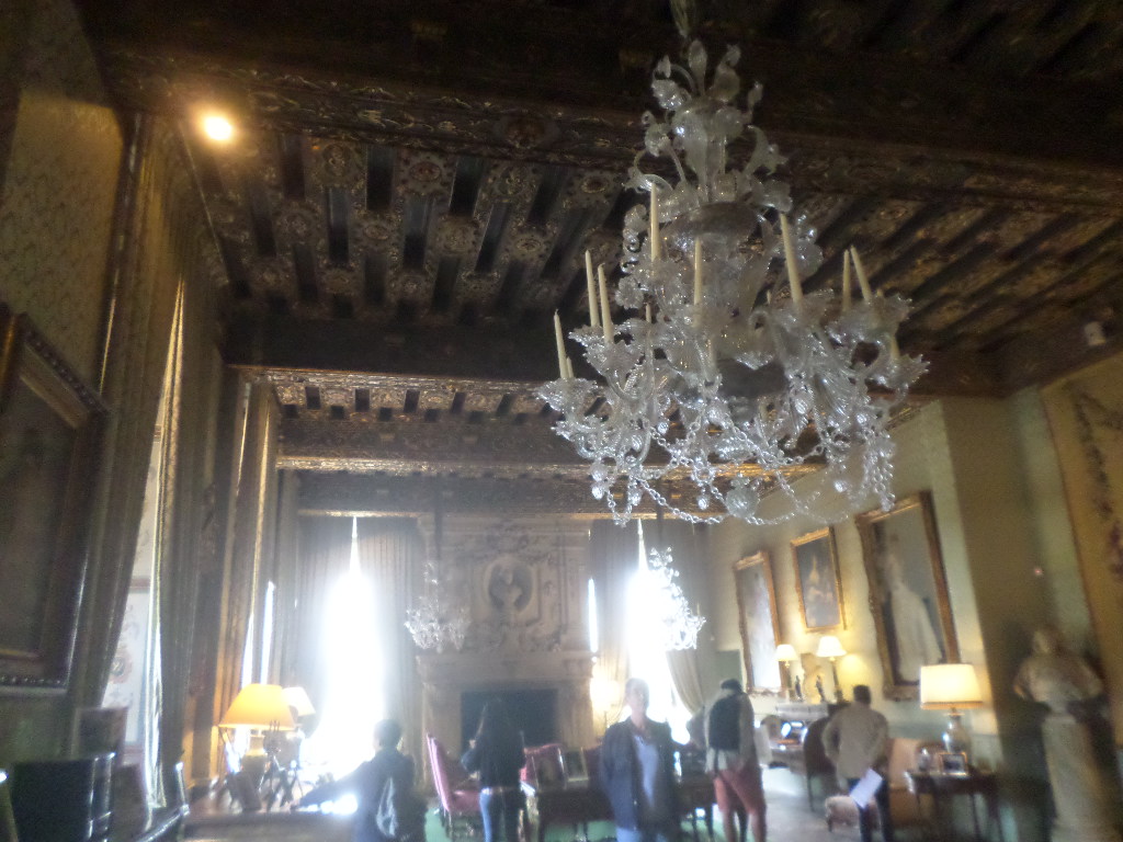 SAMSUNG CAMERA PICTURES