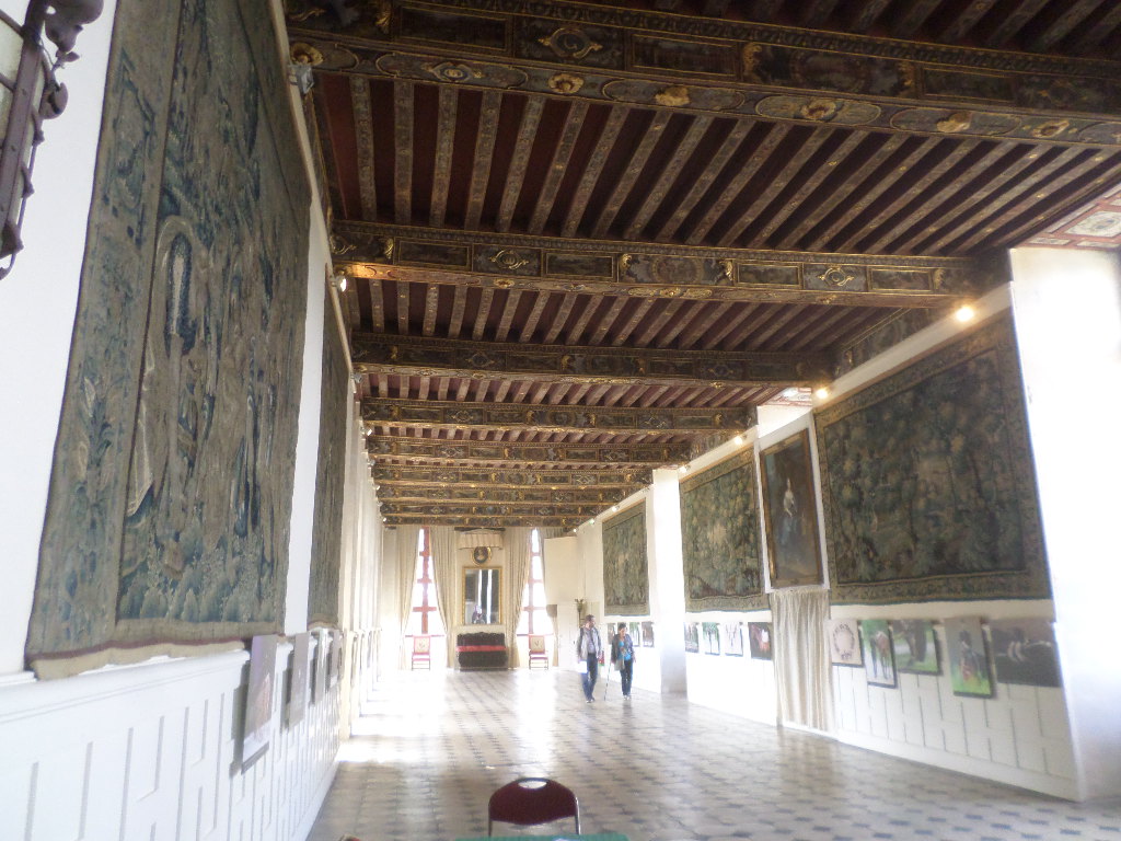 SAMSUNG CAMERA PICTURES