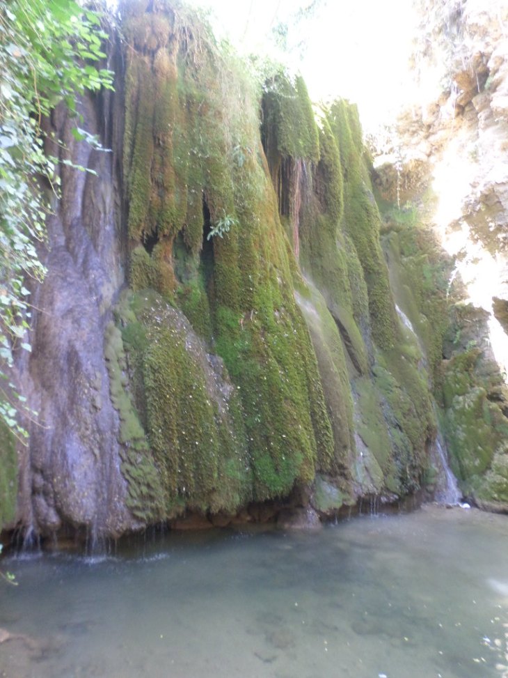 SAMSUNG CAMERA PICTURES