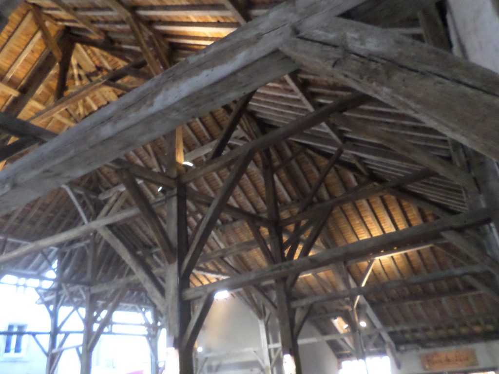 SAMSUNG CAMERA PICTURES