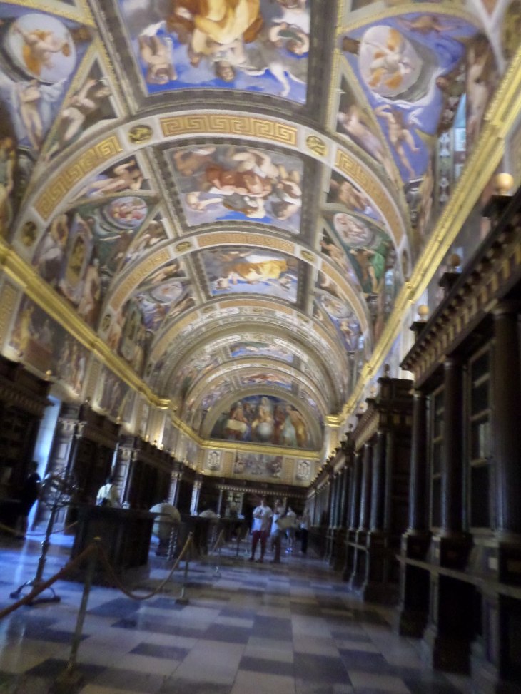 SAMSUNG CAMERA PICTURES