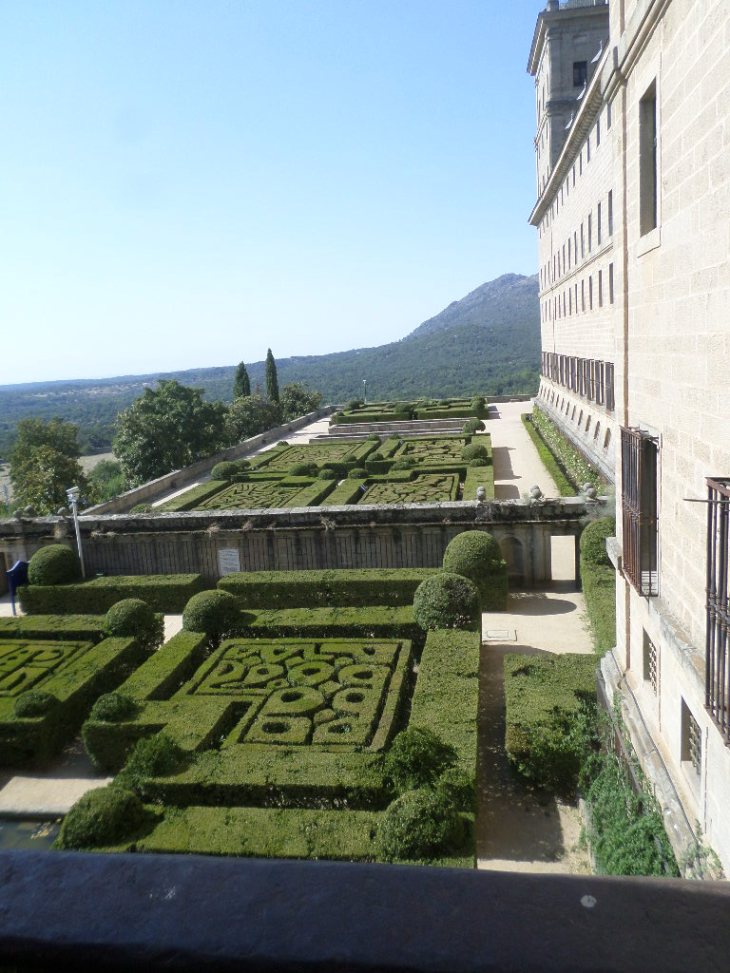 SAMSUNG CAMERA PICTURES