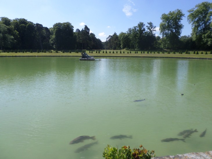 SAMSUNG CAMERA PICTURES