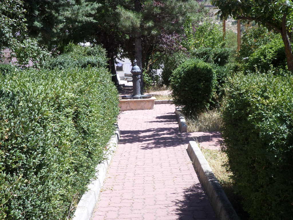 SAMSUNG CAMERA PICTURES