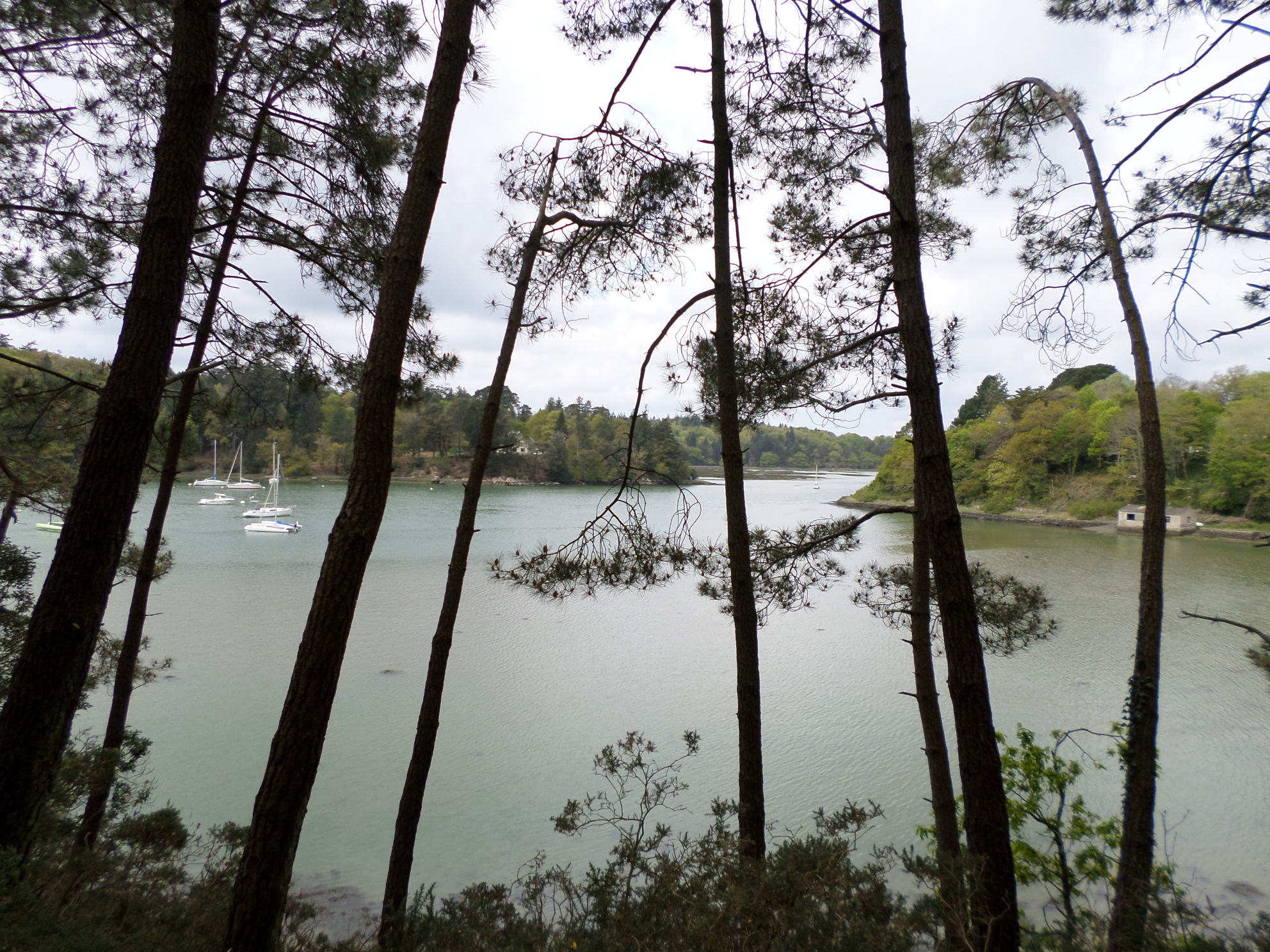 SAMSUNG CAMERA PICTURES