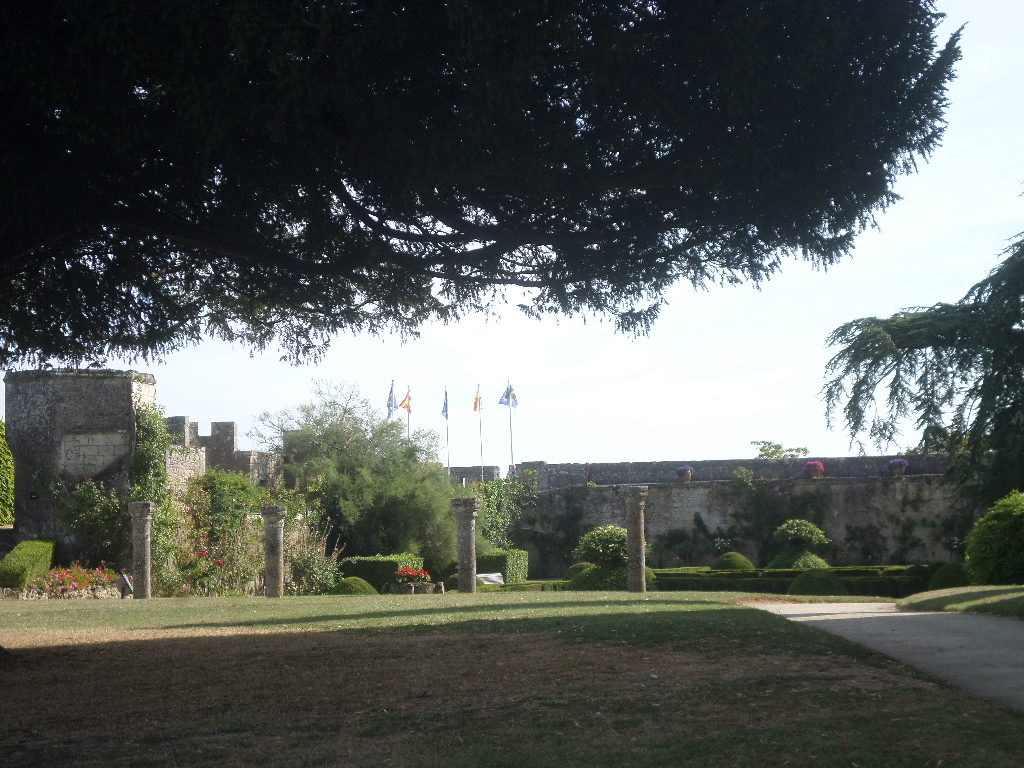 SAMSUNG CAMERA PICTURES