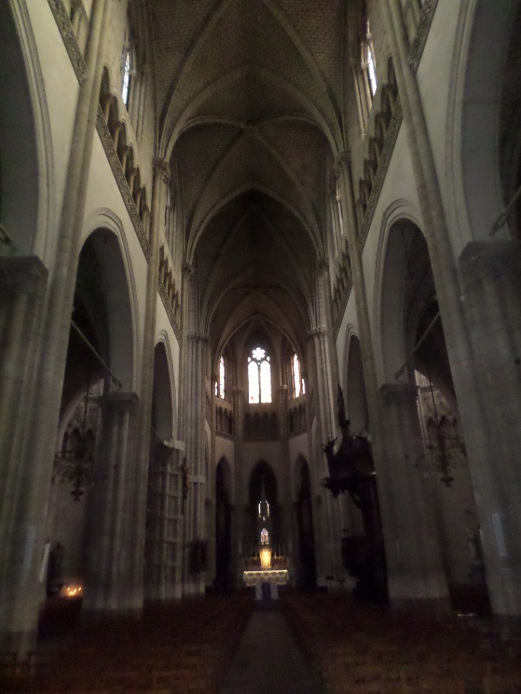 SAMSUNG CAMERA PICTURES