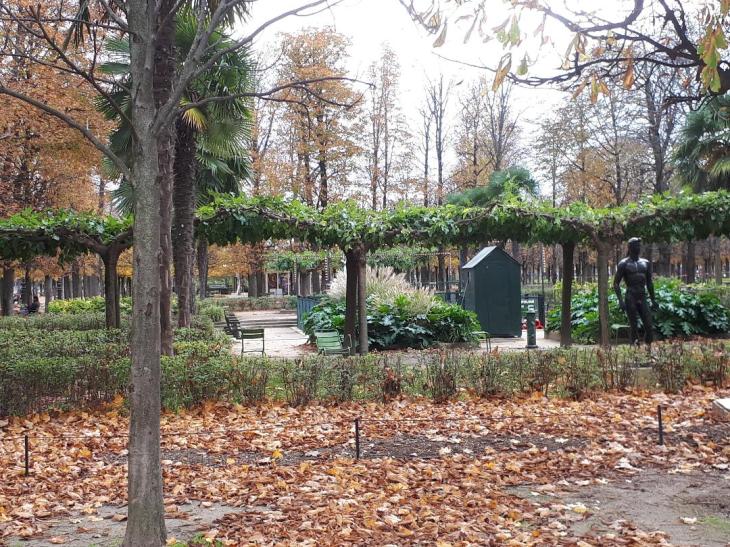 paris jardin des tuileries side rivoli nov19