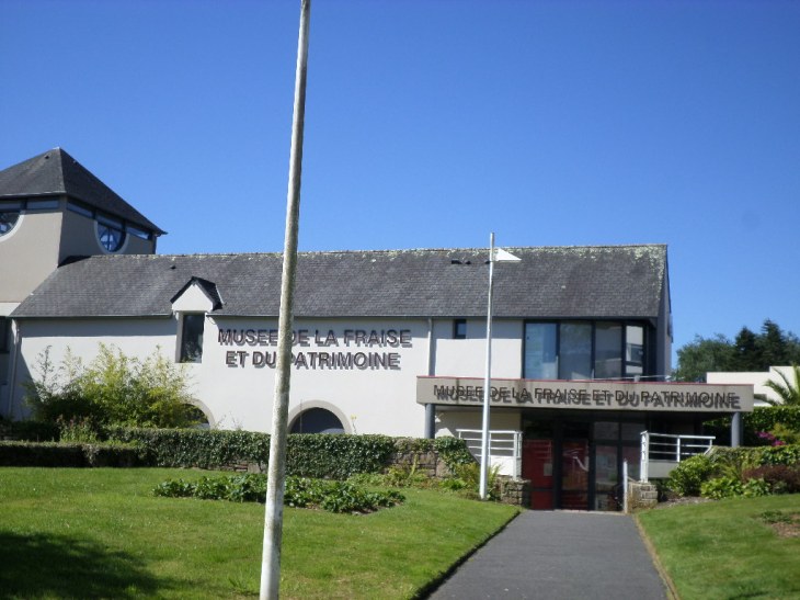 SAMSUNG CAMERA PICTURES