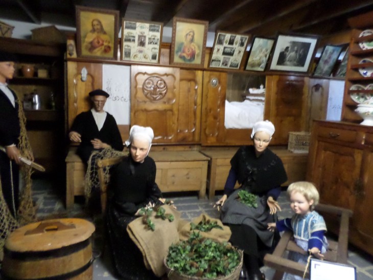 SAMSUNG CAMERA PICTURES