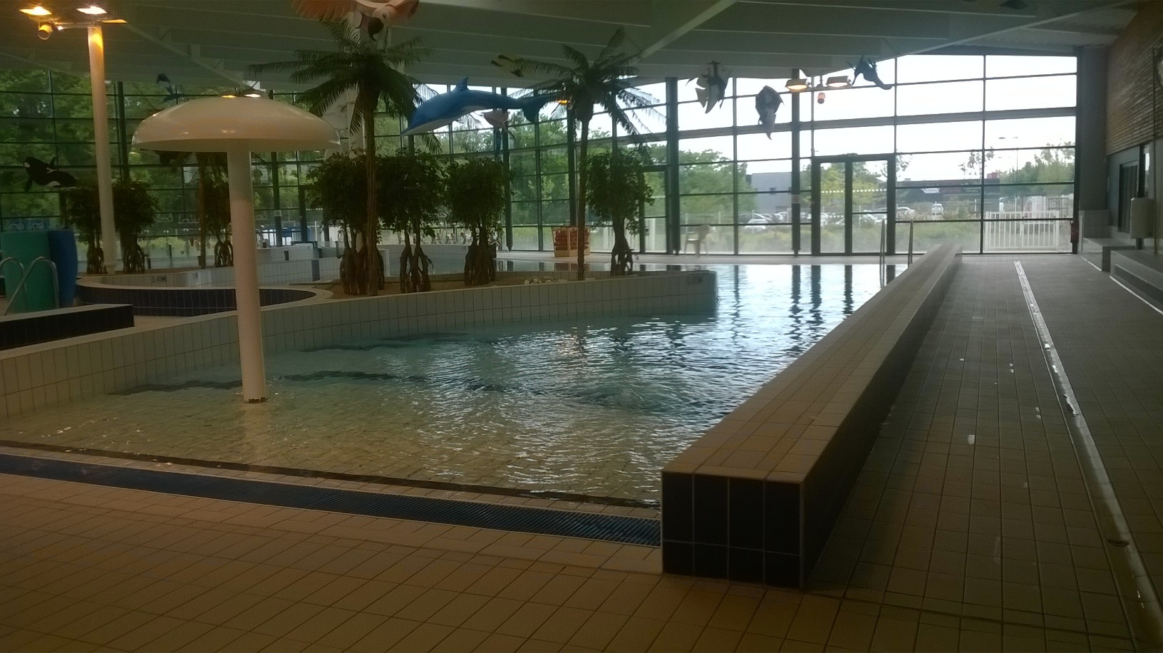 auray-alreo-bassins-pool-may17