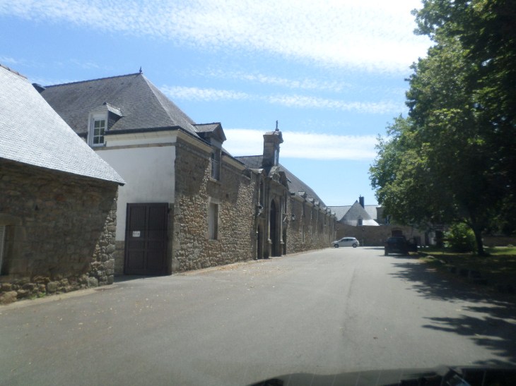 SAMSUNG CAMERA PICTURES