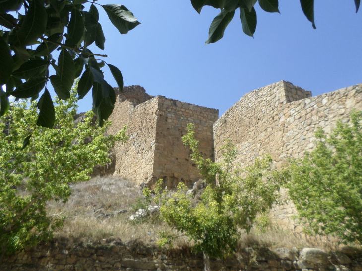 SAMSUNG CAMERA PICTURES