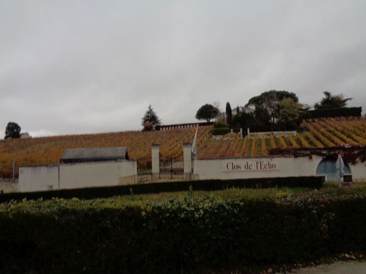 Chinon clos de l'echo winery nov21