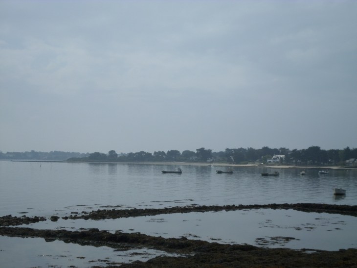 SAMSUNG CAMERA PICTURES