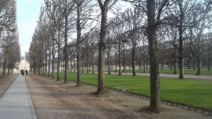 paris jar lux trail observatoire to senat feb14