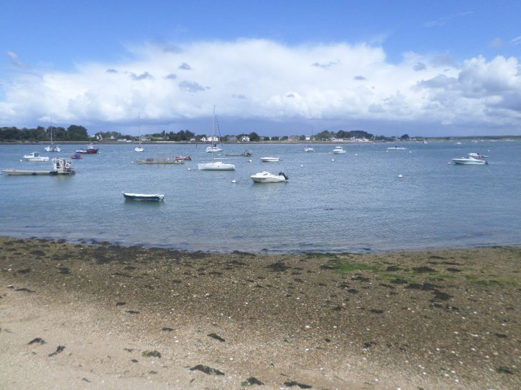 SAMSUNG CAMERA PICTURES