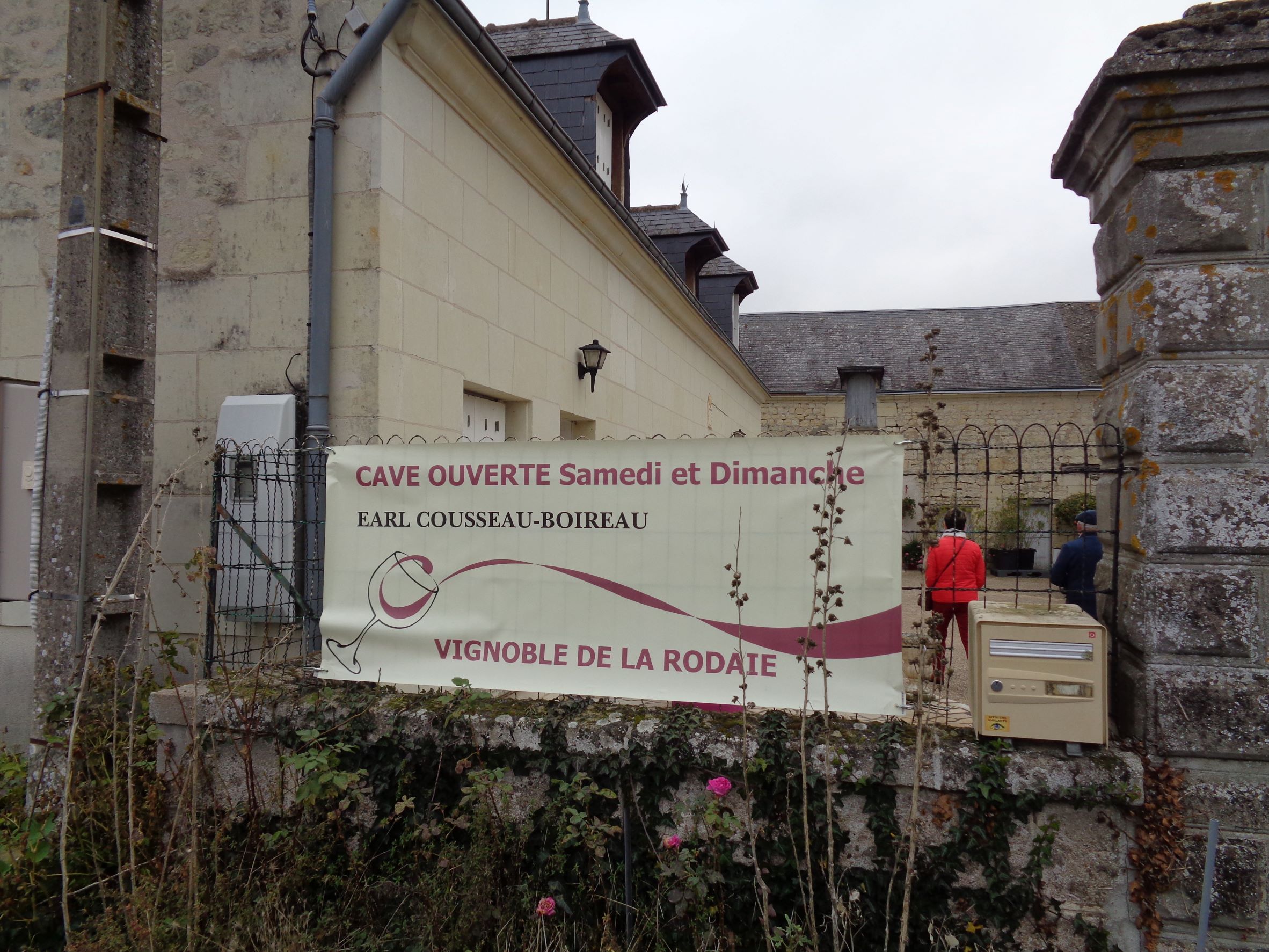 St Nicolas de Bourgueil Cousseau Boireau vignobles entr nov21