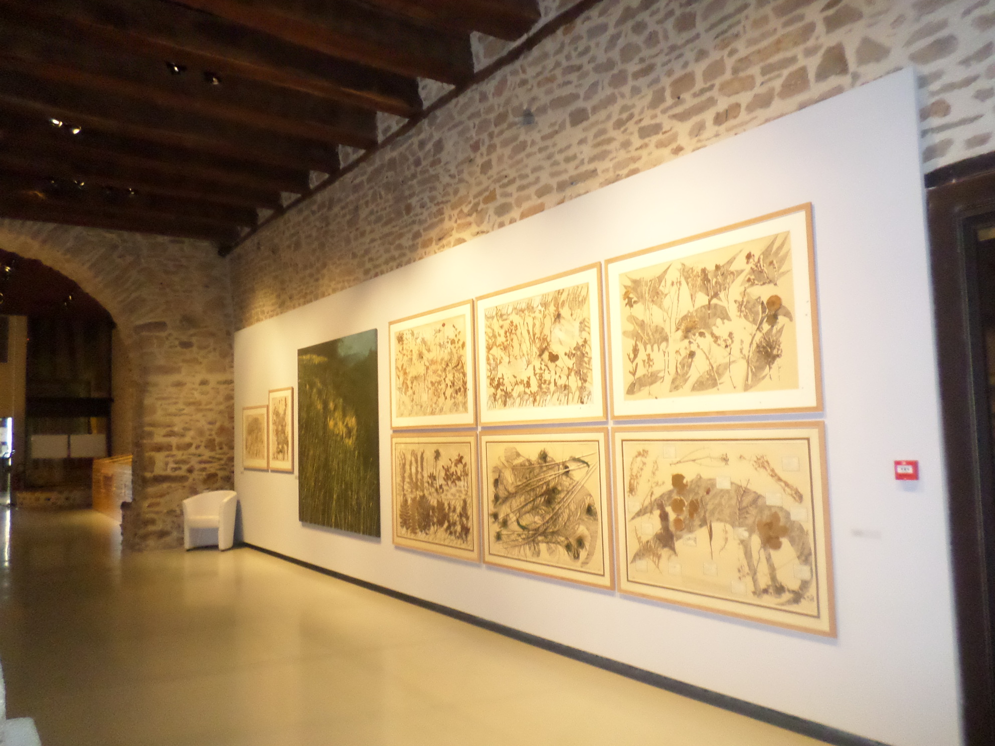 SAMSUNG CAMERA PICTURES