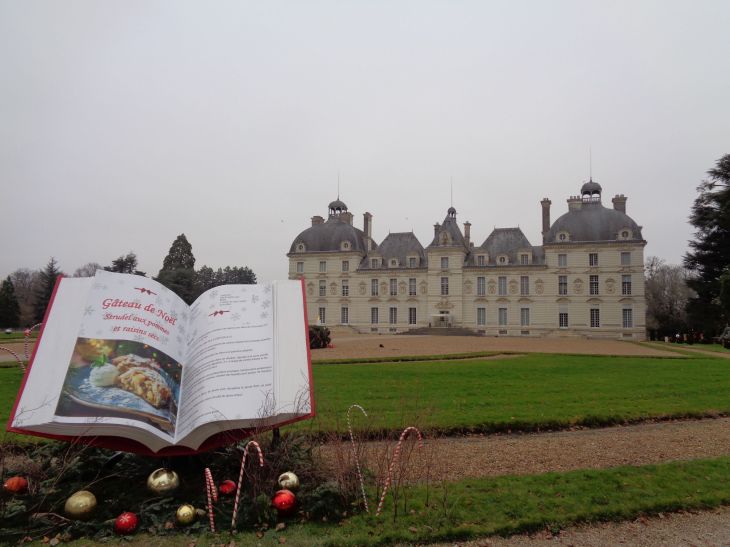 cheverny castle front Christmas dec21