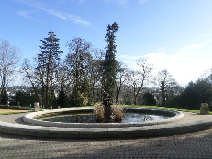 SAMSUNG CAMERA PICTURES