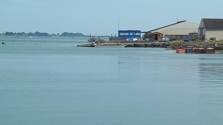 St Philibert oysters in bay jul23