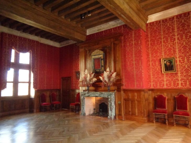 Azay le Rideau castle antechambre room chimney jan22