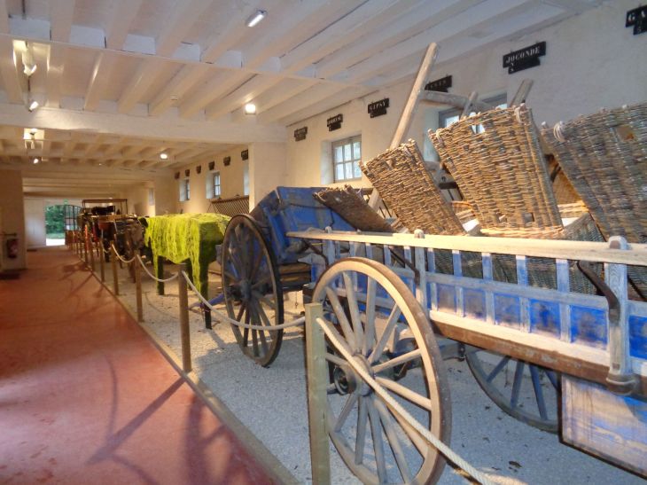 Chenonceau castle domes aterlier attelage back jan22
