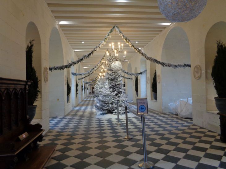 Chenonceau castle grande galerie jan22