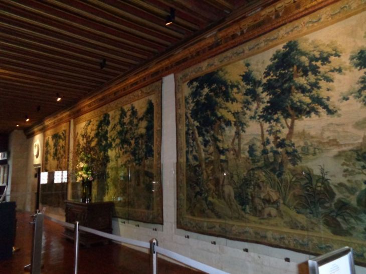Chenonceau castle hall of Katherine Briconnet jan22