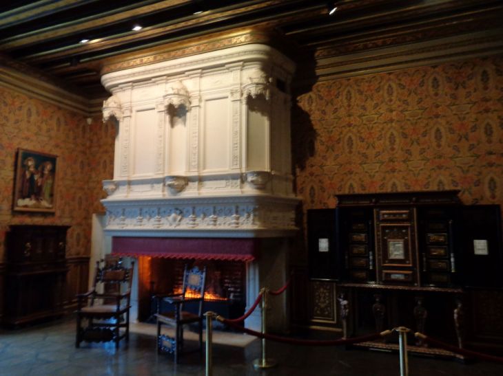 Chenonceau castle library chimney jan22