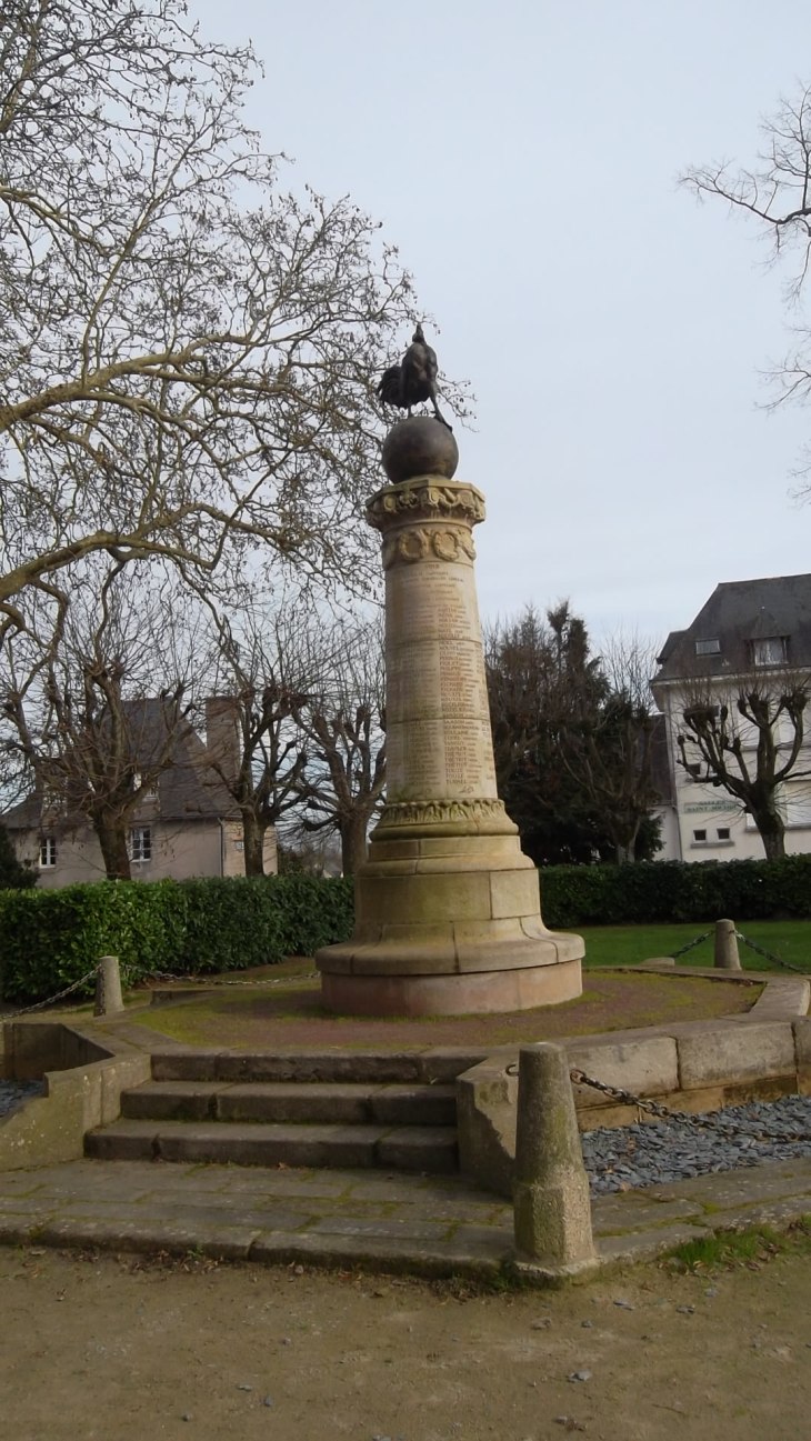 Josselin mon mem coq pl de la liberation jan12