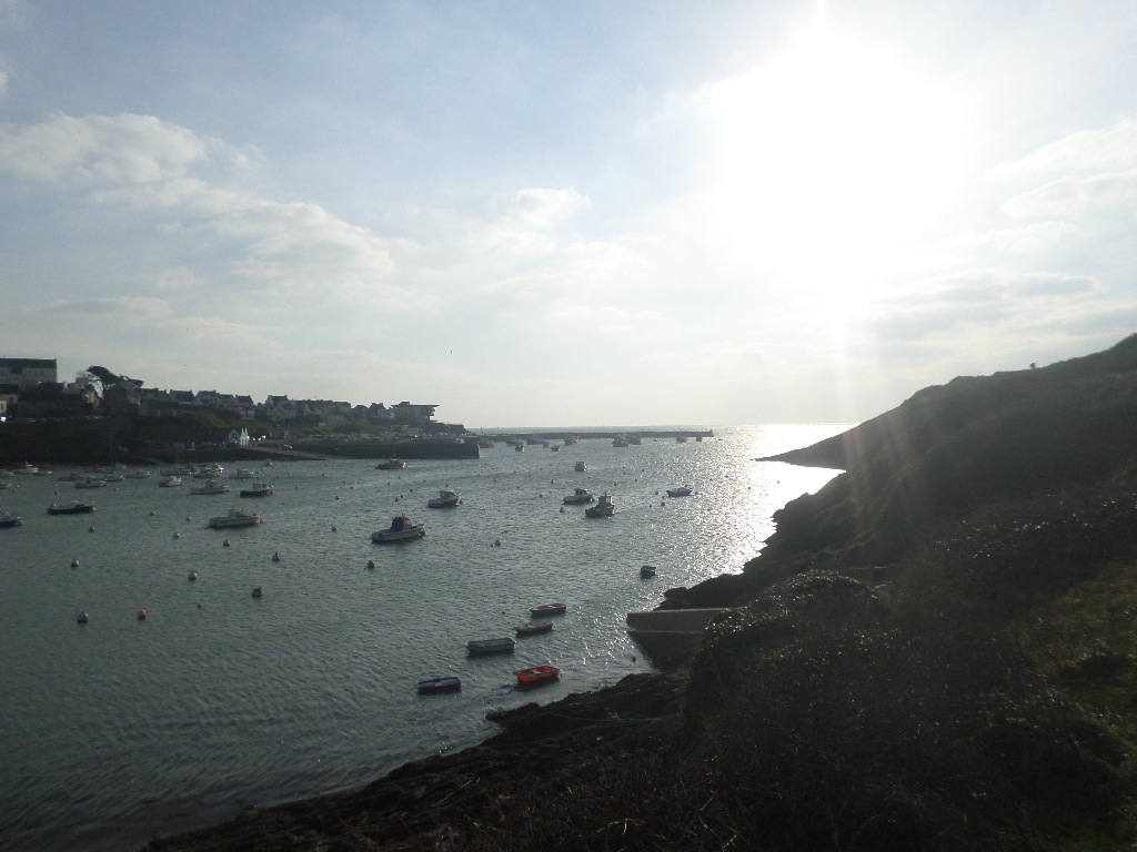 SAMSUNG CAMERA PICTURES