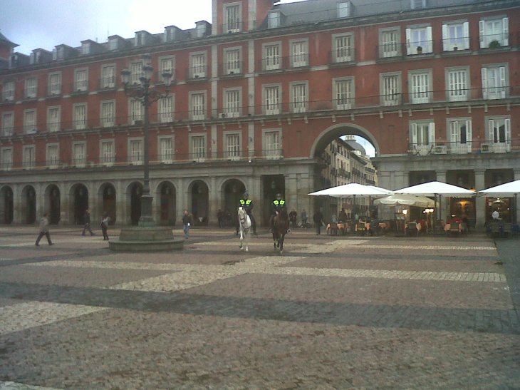 mad plaza mayor horse police feb13