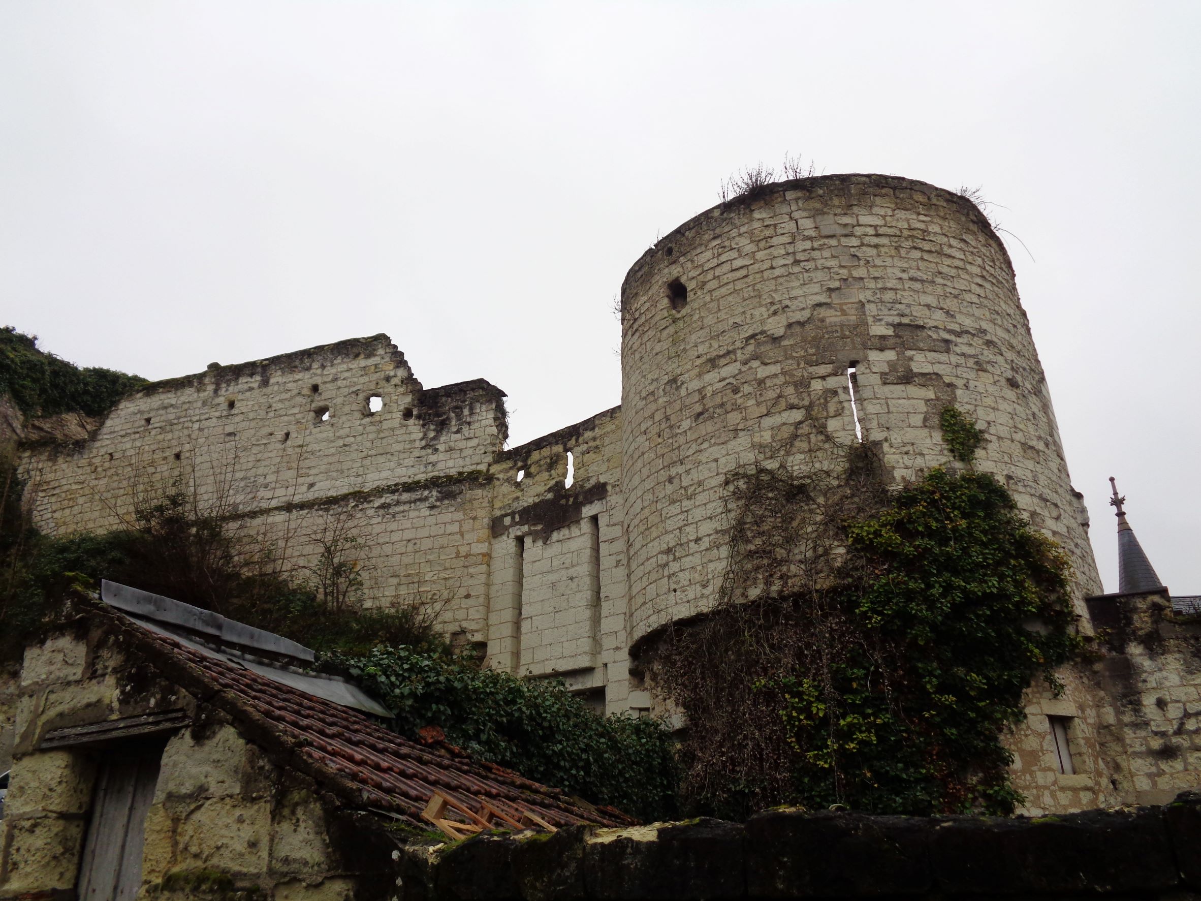 Montrichard castle tower wall jan22