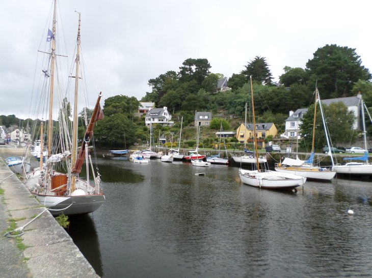 SAMSUNG CAMERA PICTURES