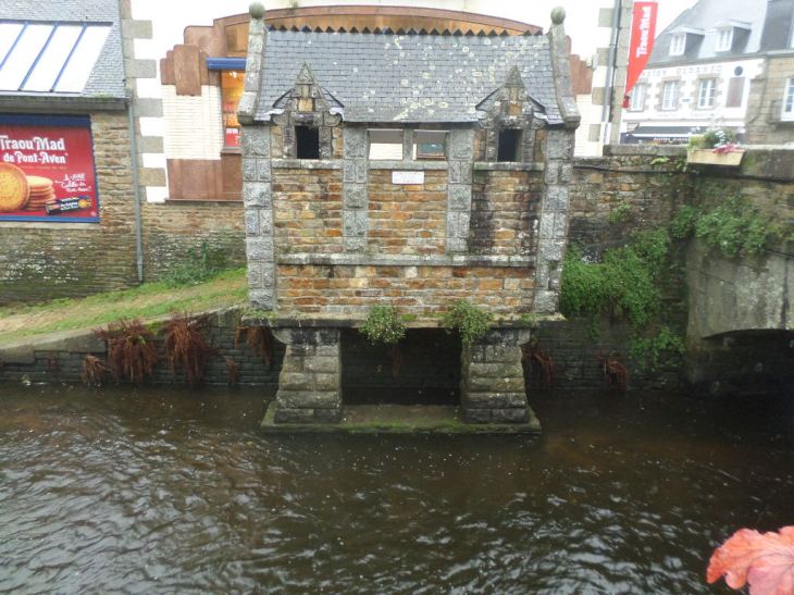 SAMSUNG CAMERA PICTURES