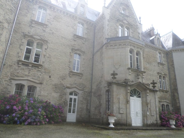 SAMSUNG CAMERA PICTURES