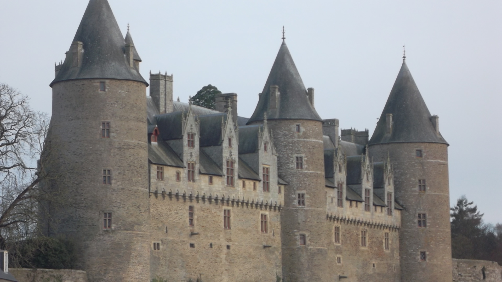 Sus castle side left Dec11