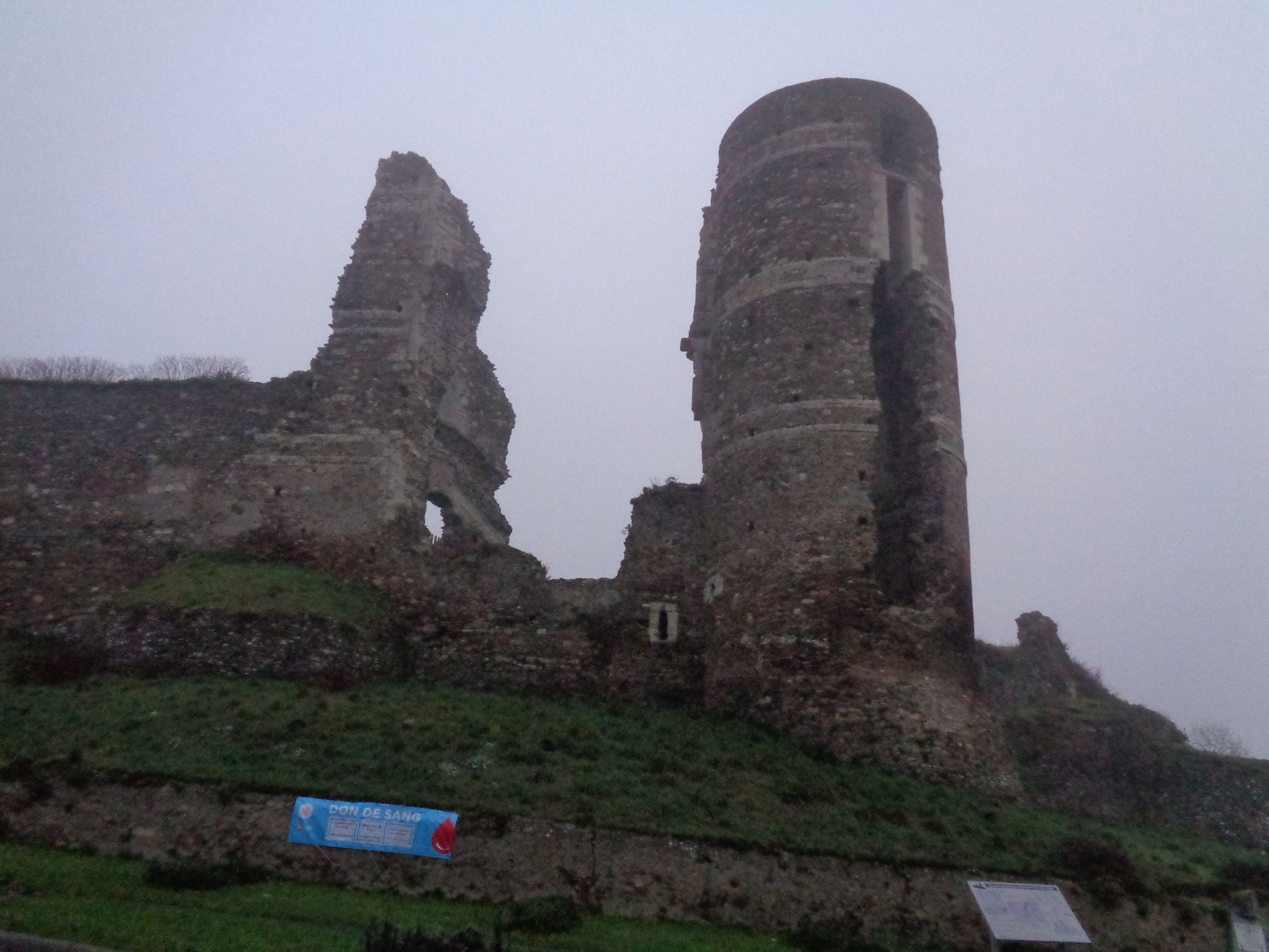 Champtose sur Loire castle ruins tower feb22